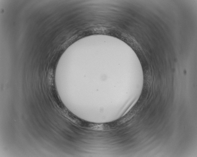 X0000081560083200702051200