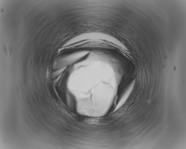 X0000081560084200702051200