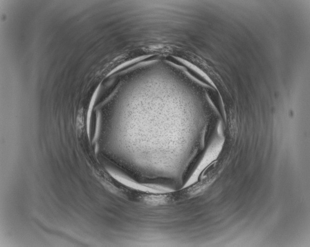 X0000081560085200702051200