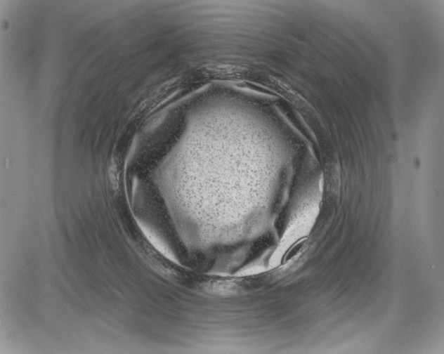 X0000081560086200702051200