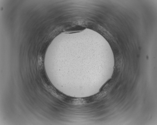 X0000081560087200702051200