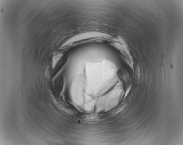 X0000081560088200702051200