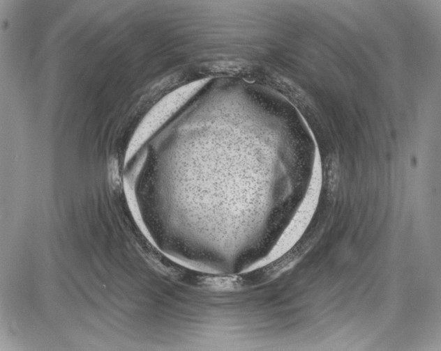 X0000081560089200702051200