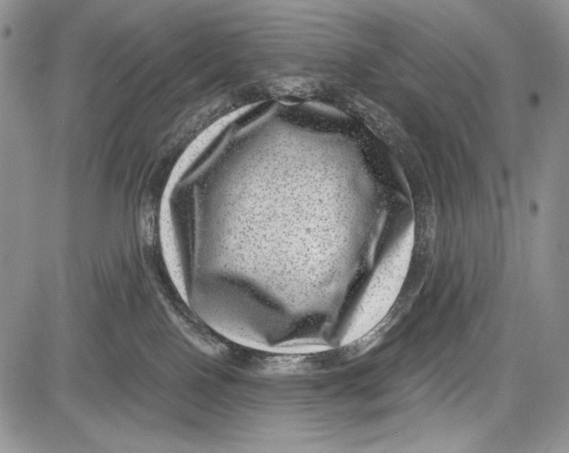 X0000081560090200702051200