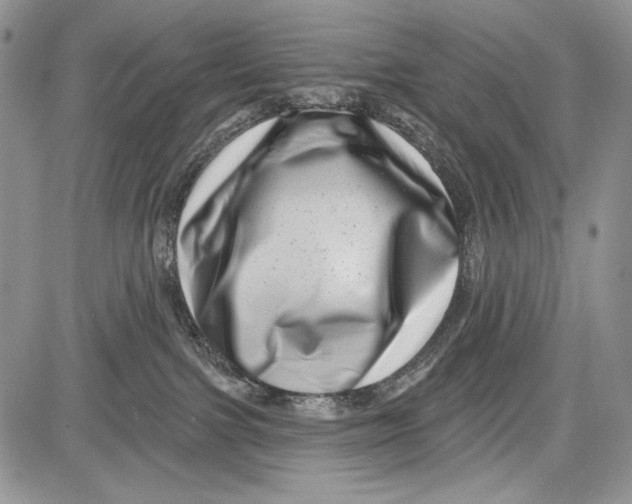 X0000081560091200702051200