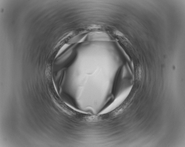 X0000081560092200702051200