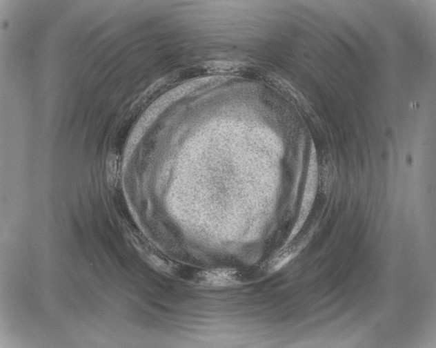 X0000081560093200702051200