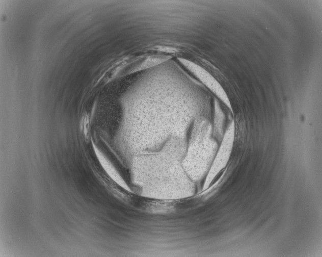 X0000081560094200702051200