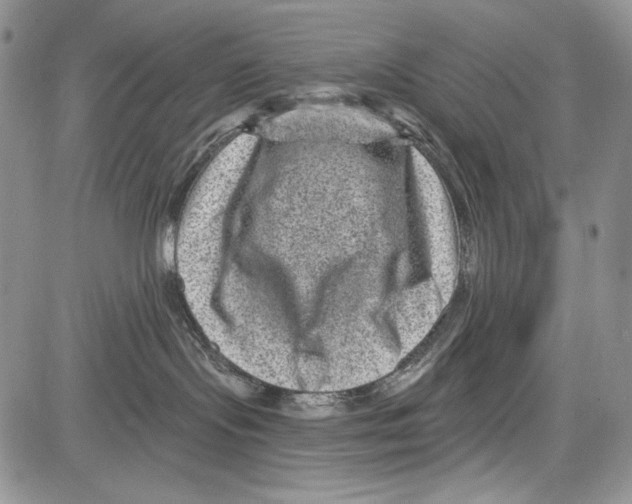 X0000081560095200702051200