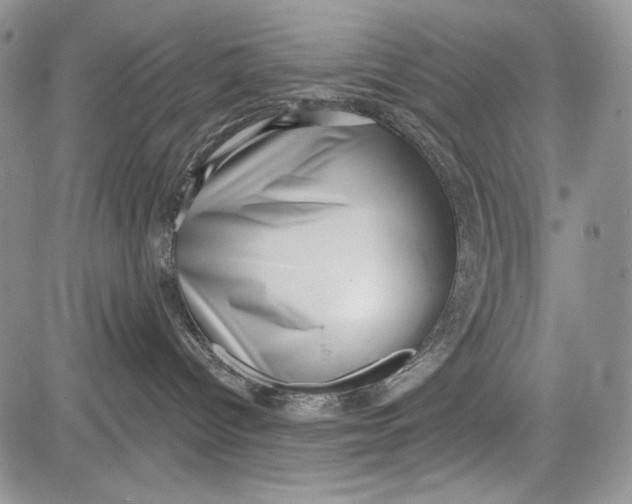 X0000081560096200702051200