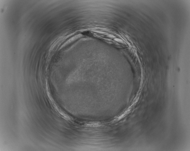 X0000081560097200702051159