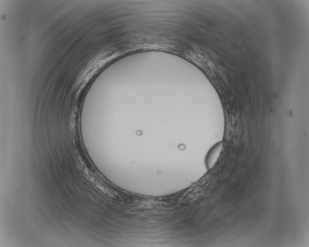 X0000081560098200702051159