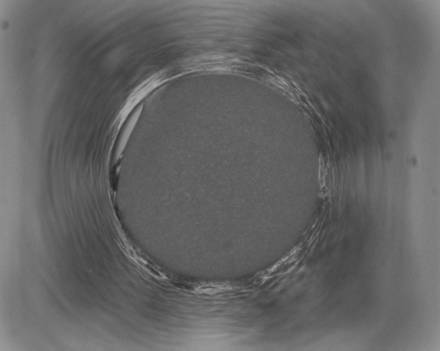 X0000081560099200702051159