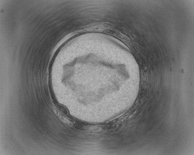 X0000081560100200702051159