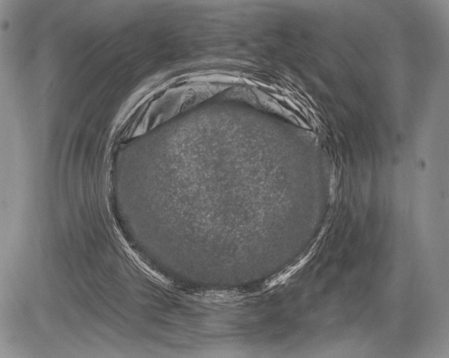 X0000081560101200702051159