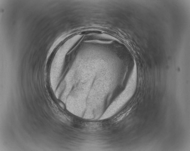 X0000081560102200702051159