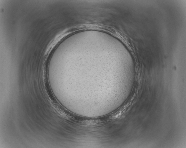 X0000081560103200702051159