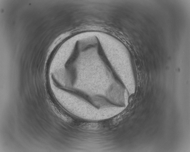 X0000081560104200702051159