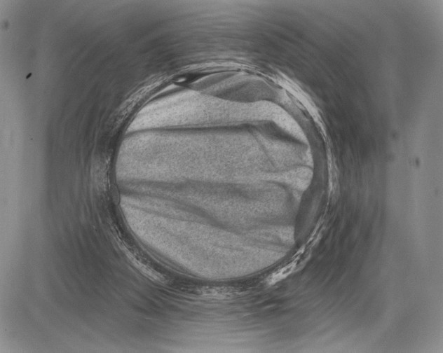 X0000081560105200702051159