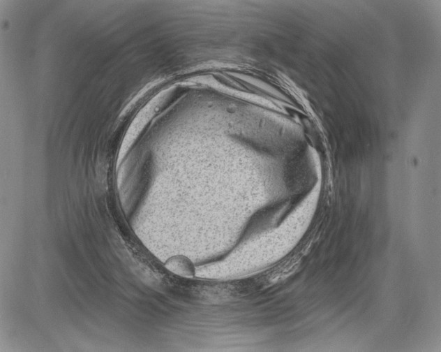 X0000081560106200702051159