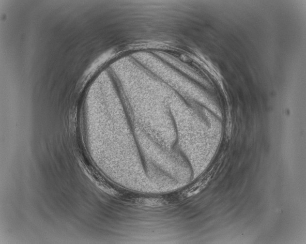 X0000081560107200702051159