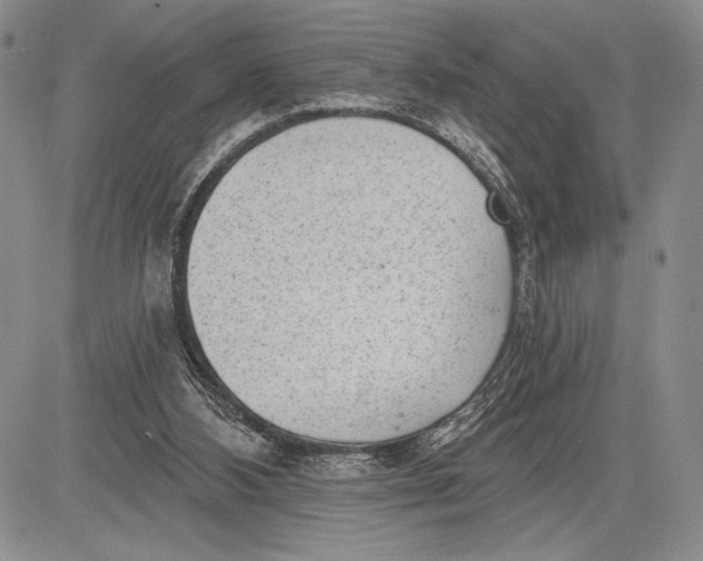 X0000081560108200702051159