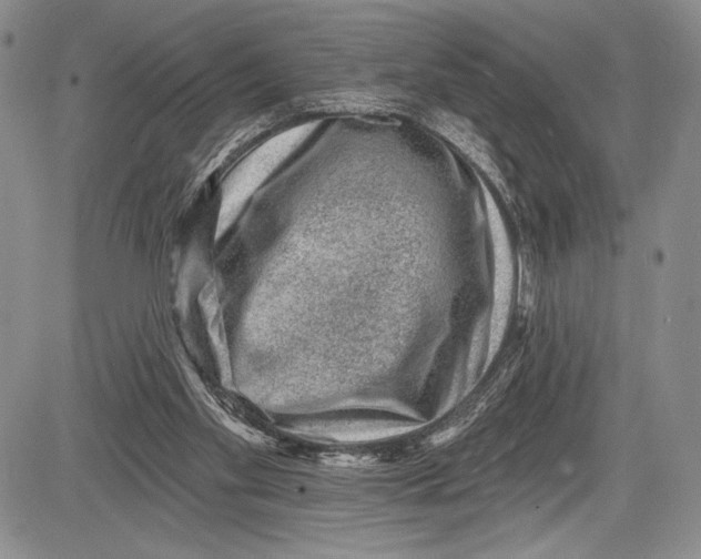 X0000081560109200702051159