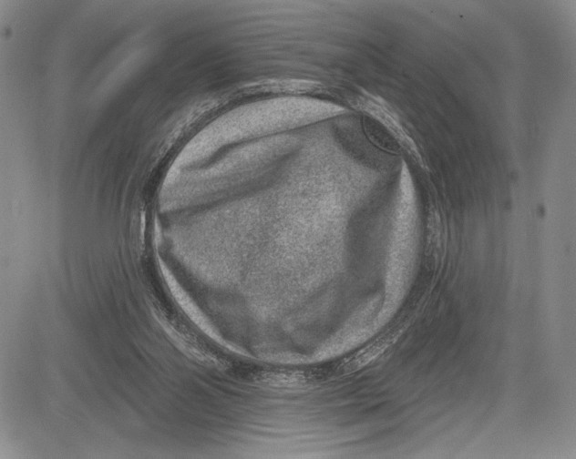 X0000081560110200702051159