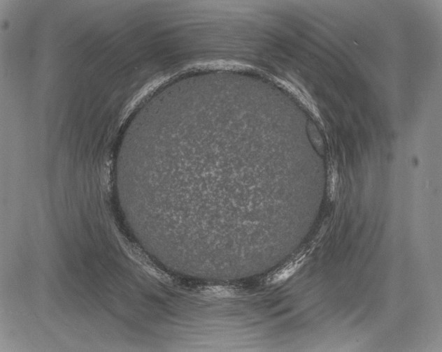 X0000081560111200702051159