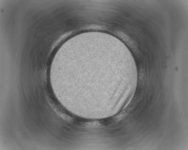 X0000081560112200702051159