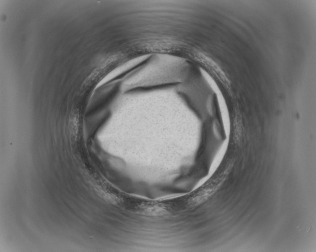 X0000081560113200702051159