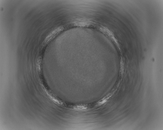 X0000081560114200702051159