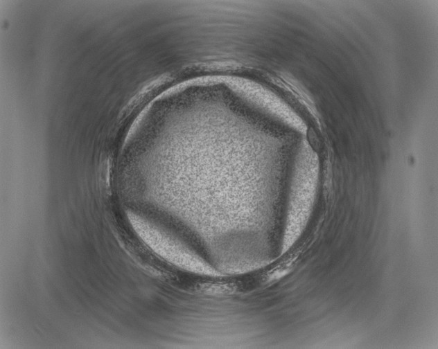 X0000081560115200702051159