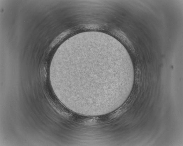 X0000081560116200702051159