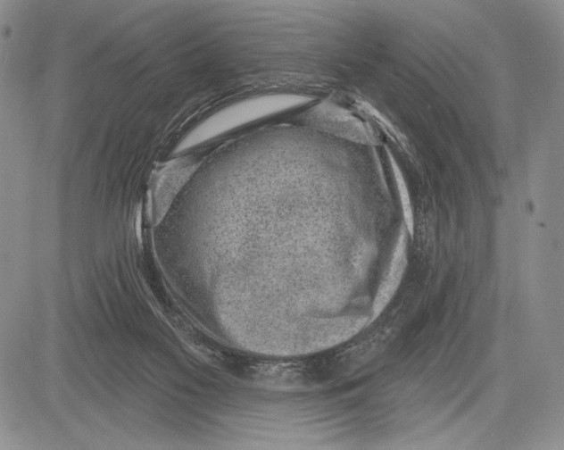 X0000081560117200702051159