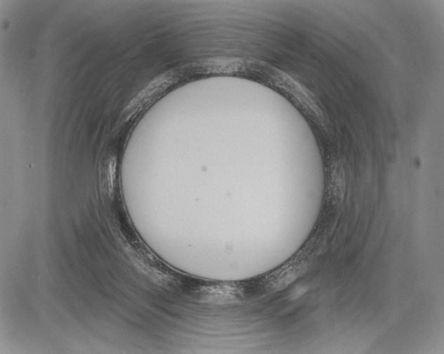 X0000081560118200702051159