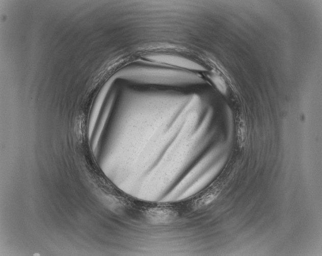 X0000081560119200702051159