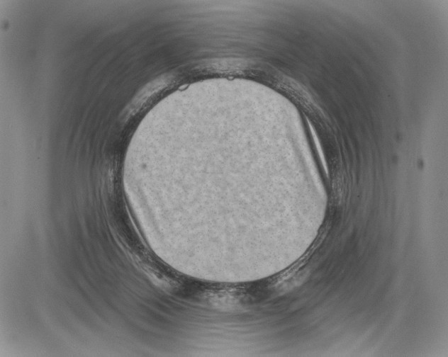 X0000081560120200702051159