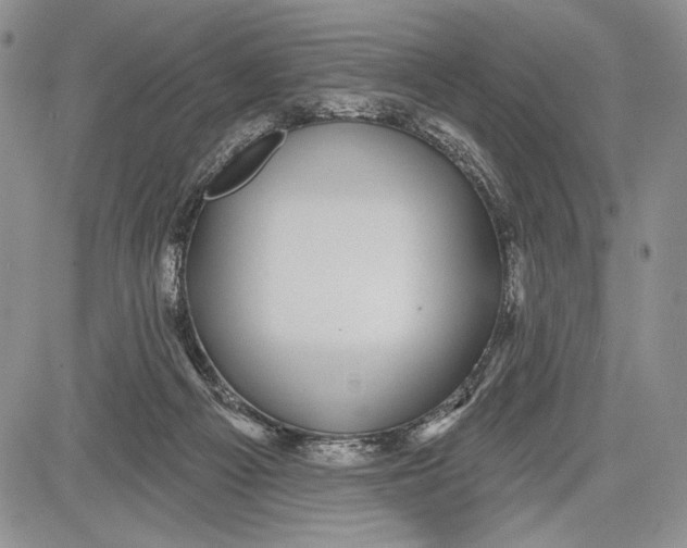 X0000081560121200702051159