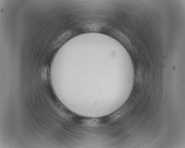 X0000081560122200702051159