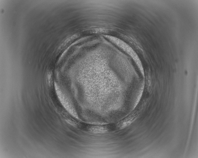 X0000081560123200702051159