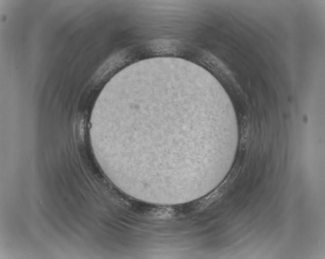 X0000081560124200702051159