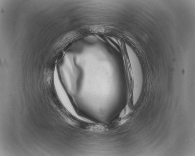 X0000081560125200702051159