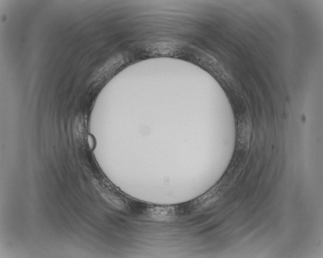 X0000081560126200702051159