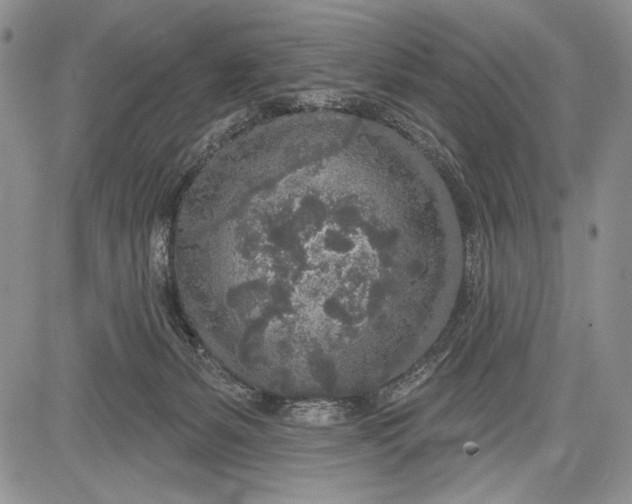 X0000081560127200702051159