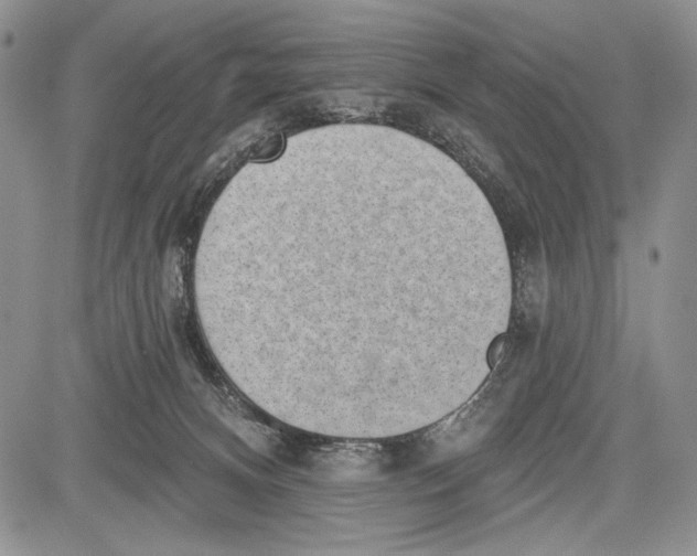 X0000081560128200702051159