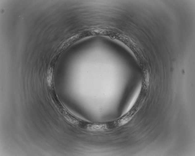 X0000081560129200702051159