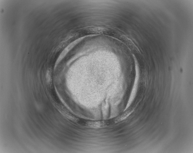 X0000081560131200702051159