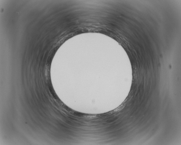 X0000081560132200702051159