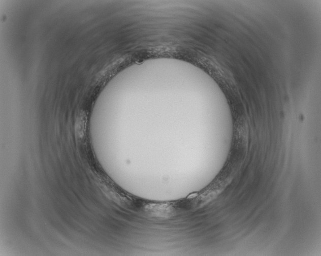 X0000081560133200702051159